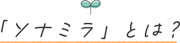 「ソナミラ」とは？