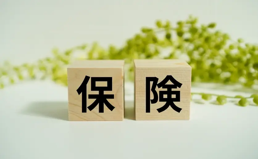 積木に書いた保険の文字